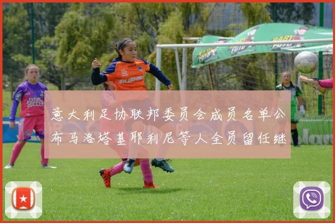 意大利足协联邦委员会成员名单公布马洛塔基耶利尼等人全员留任继续服务