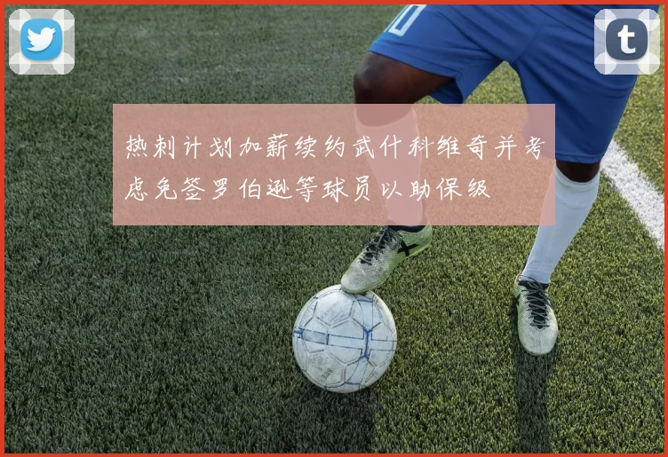 热刺计划加薪续约武什科维奇并考虑免签罗伯逊等球员以助保级